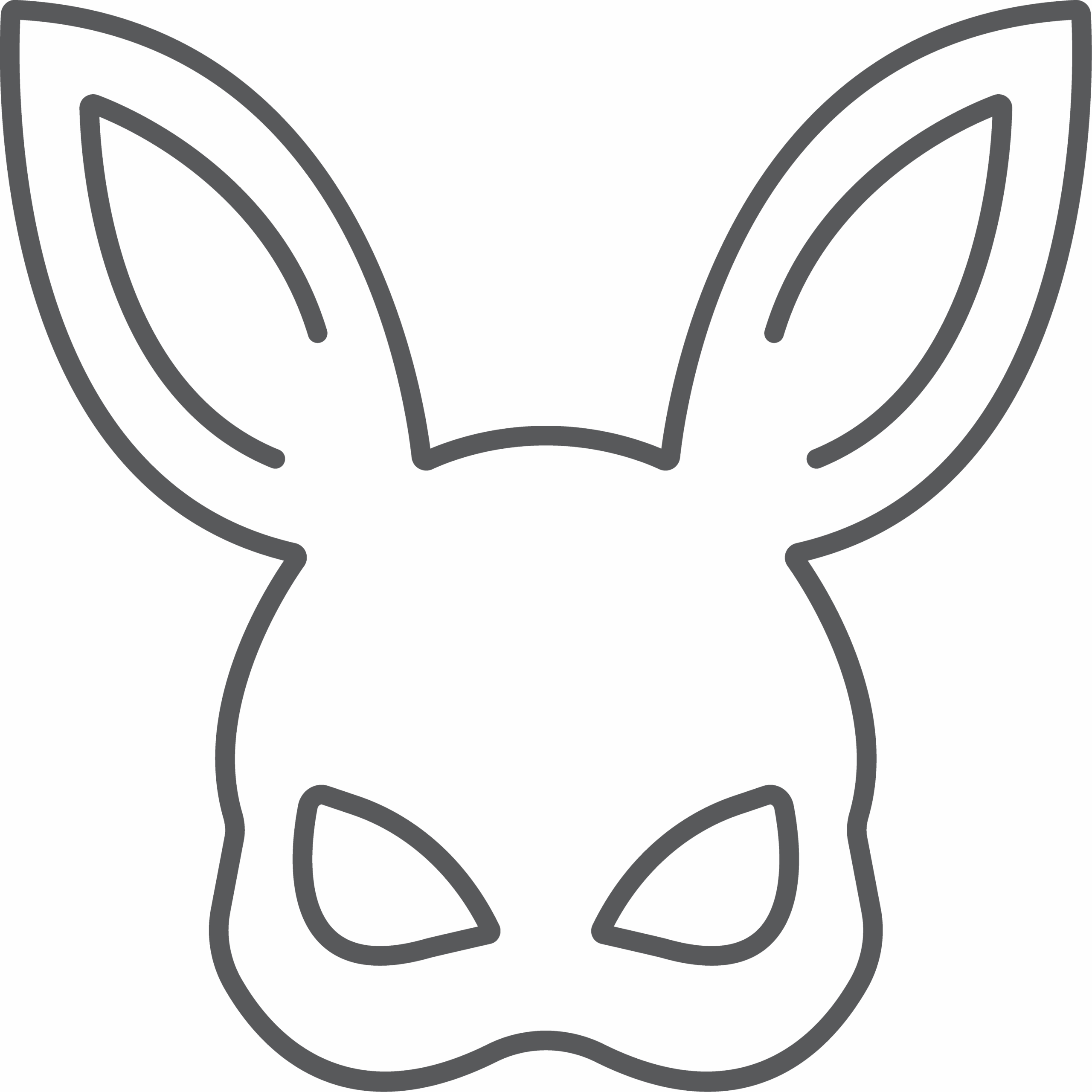 Hopping White Bulter Rabbit